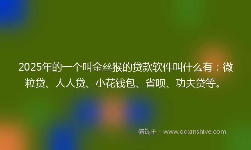2025年的一个叫金丝猴的贷款软件叫什么有：微粒贷、人人贷、小花钱包、省呗、功夫贷等。