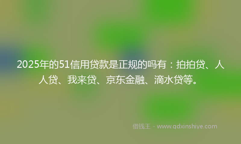 2025年的51信用贷款是正规的吗有：拍拍贷、人人贷、我来贷、京东金融、滴水贷等。