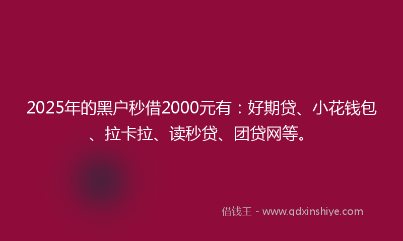 2025年的黑户秒借2000元有：好期贷、小花钱包、拉卡拉、读秒贷、团贷网等。