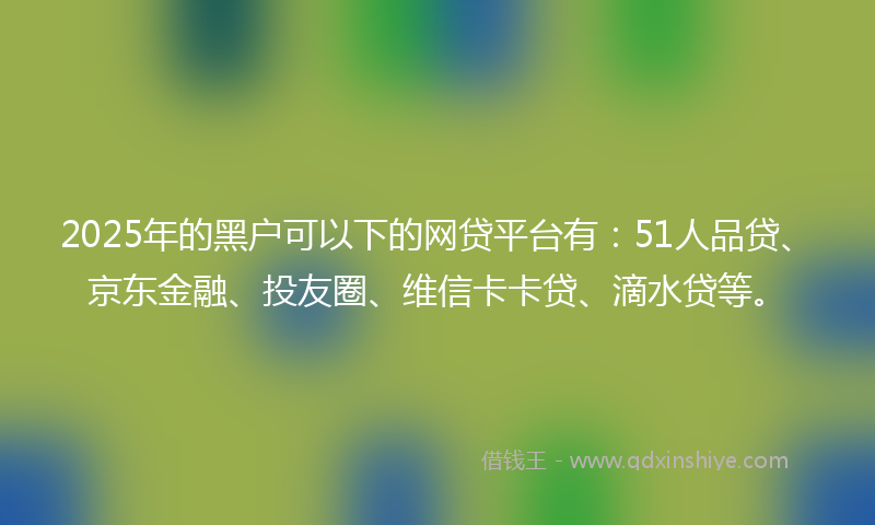 2025年的黑户可以下的网贷平台有：51人品贷、京东金融、投友圈、维信卡卡贷、滴水贷等。