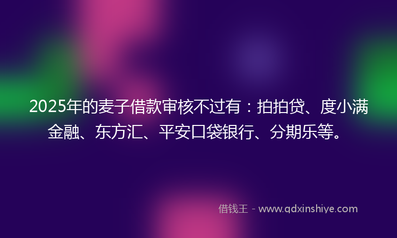 2025年的麦子借款审核不过有：拍拍贷、度小满金融、东方汇、平安口袋银行、分期乐等。