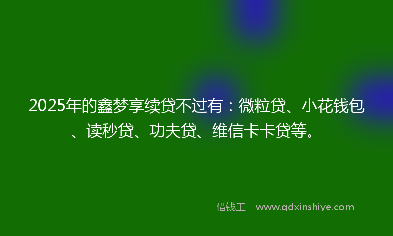 2025年的鑫梦享续贷不过有：微粒贷、小花钱包、读秒贷、功夫贷、维信卡卡贷等。