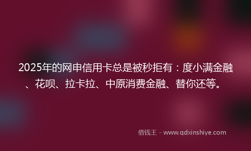 2025年的网申信用卡总是被秒拒有：度小满金融、花呗、拉卡拉、中原消费金融、替你还等。