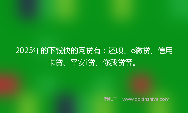 2025年的下钱快的网贷有：还呗、e微贷、信用卡贷、平安i贷、你我贷等。