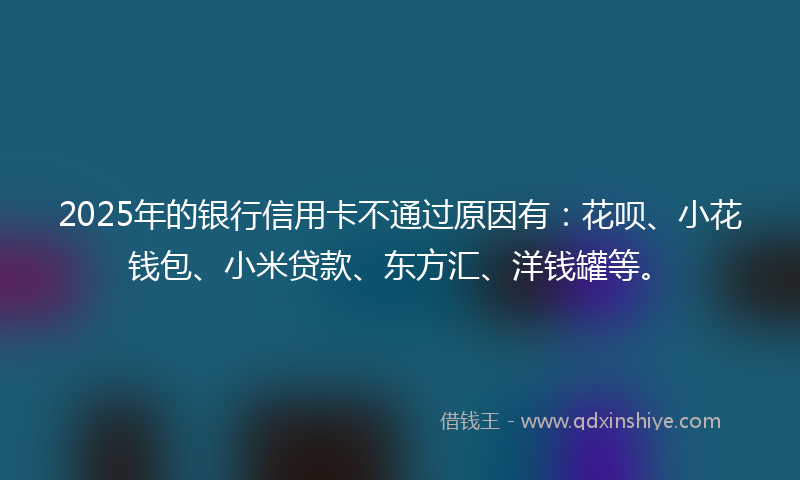 2025年的银行信用卡不通过原因有：花呗、小花钱包、小米贷款、东方汇、洋钱罐等。