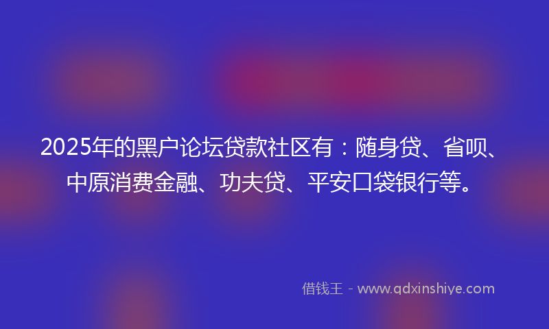 2025年的黑户论坛贷款社区有：随身贷、省呗、中原消费金融、功夫贷、平安口袋银行等。