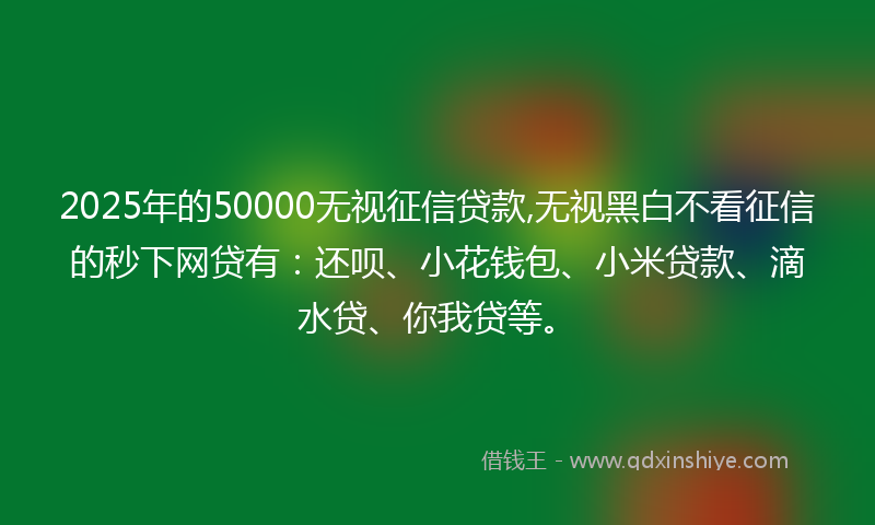 2025年的50000无视征信贷款,无视黑白不看征信的秒下网贷有:还呗、小花钱包、小米贷款、滴水贷、你我贷等。
