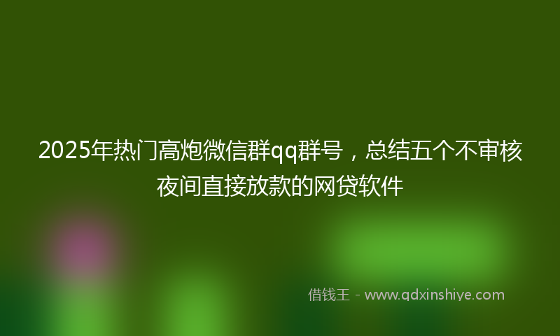 2025年热门高炮微信群qq群号，总结五个不审核夜间直接放款的网贷软件