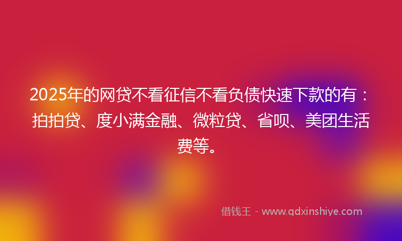 2025年的网贷不看征信不看负债快速下款的有：拍拍贷、度小满金融、微粒贷、省呗、美团生活费等。