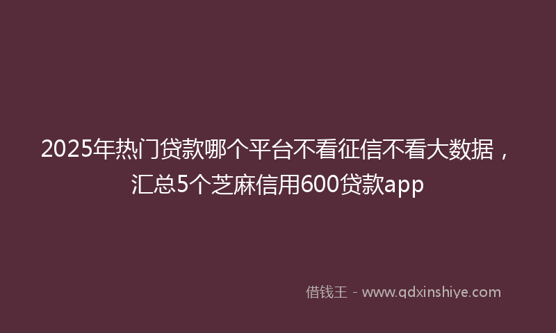 2025年热门贷款哪个平台不看征信不看大数据，汇总5个芝麻信用600贷款app