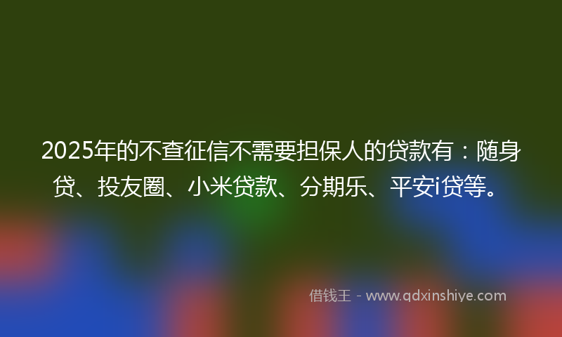 2025年的不查征信不需要担保人的贷款有：随身贷、投友圈、小米贷款、分期乐、平安i贷等。