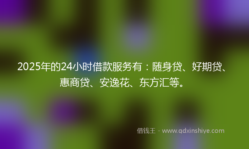 2025年的24小时借款服务有：随身贷、好期贷、惠商贷、安逸花、东方汇等。