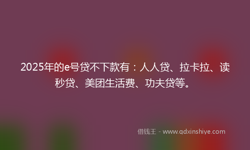 2025年的e号贷不下款有：人人贷、拉卡拉、读秒贷、美团生活费、功夫贷等。