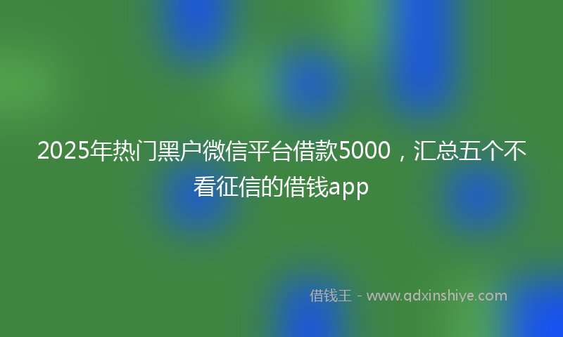 2025年热门黑户微信平台借款5000，汇总五个不看征信的借钱app