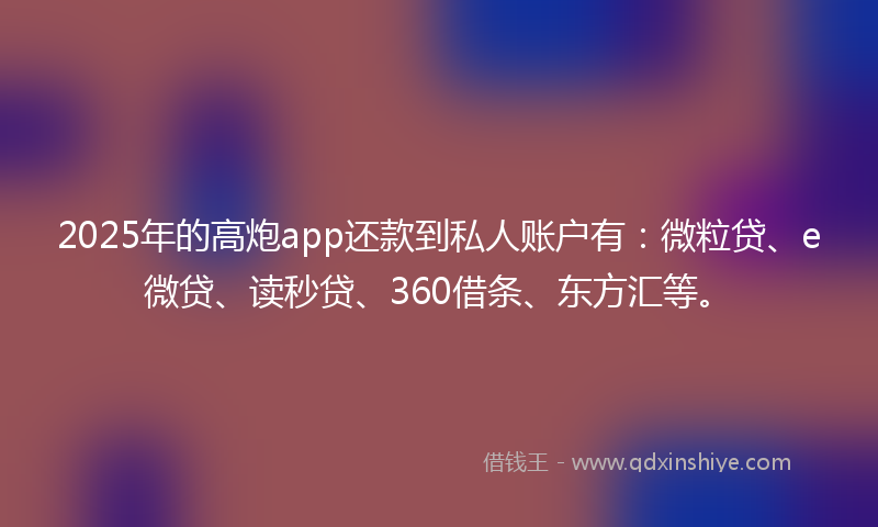 2025年的高炮app还款到私人账户有：微粒贷、e微贷、读秒贷、360借条、东方汇等。