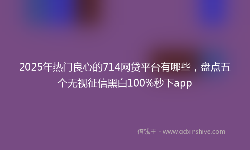2025年热门良心的714网贷平台有哪些，盘点五个无视征信黑白100%秒下app