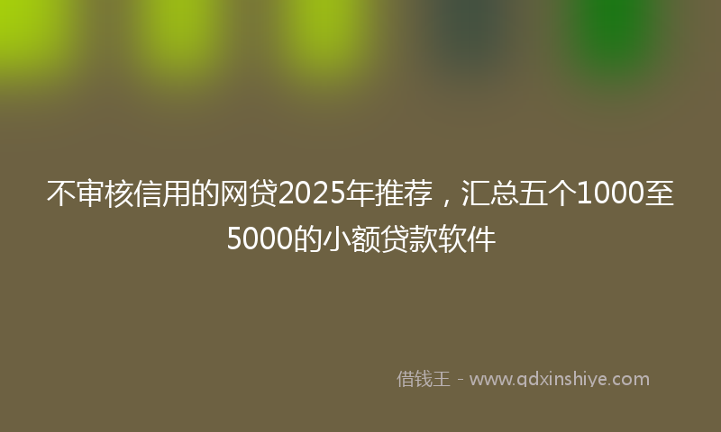 不审核信用的网贷2025年推荐，汇总五个1000至5000的小额贷款软件