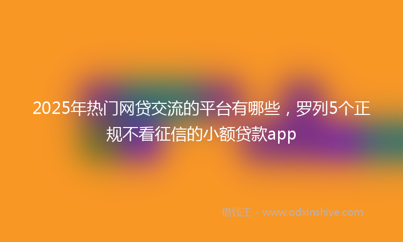 2025年热门网贷交流的平台有哪些，罗列5个正规不看征信的小额贷款app