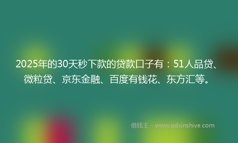 2025年的30天秒下款的贷款口子有：51人品贷、微粒贷、京东金融、百度有钱花、东方汇等。