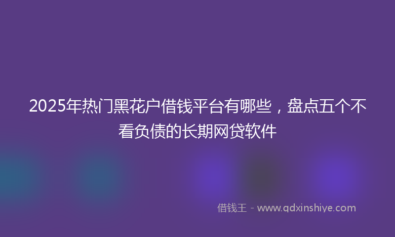 2025年热门黑花户借钱平台有哪些，盘点五个不看负债的长期网贷软件