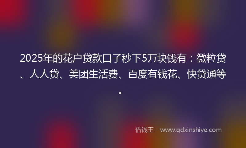 2025年的花户贷款口子秒下5万块钱有：微粒贷、人人贷、美团生活费、百度有钱花、快贷通等。