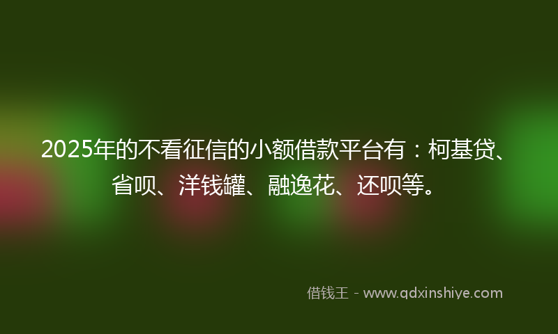 2025年的不看征信的小额借款平台有：柯基贷、省呗、洋钱罐、融逸花、还呗等。