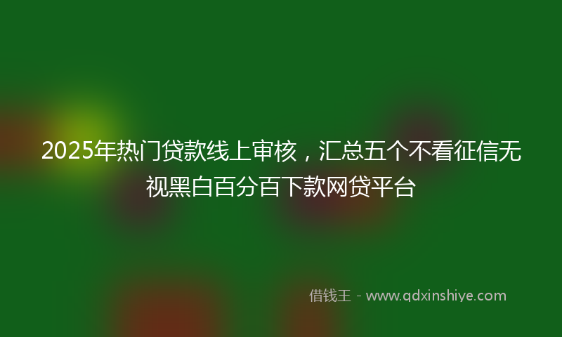 2025年热门贷款线上审核，汇总五个不看征信无视黑白百分百下款网贷平台