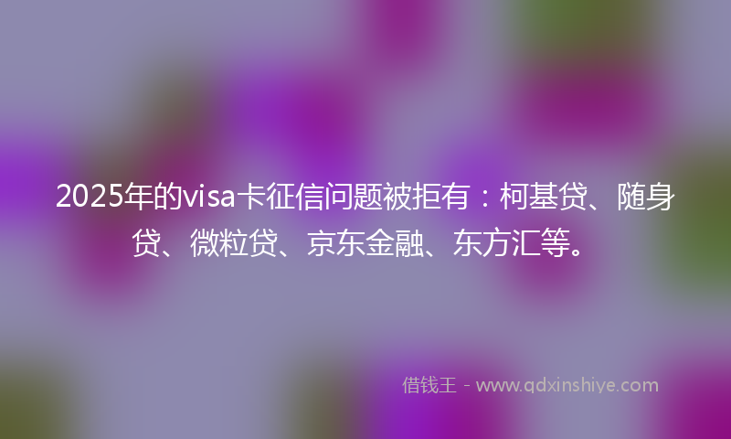 2025年的visa卡征信问题被拒有：柯基贷、随身贷、微粒贷、京东金融、东方汇等。