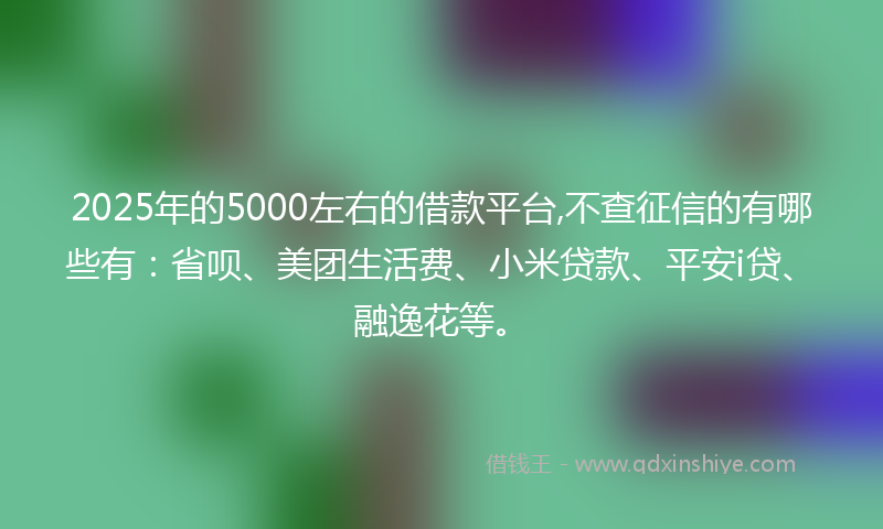 2025年的5000左右的借款平台,不查征信的有哪些有：省呗、美团生活费、小米贷款、平安i贷、融逸花等。