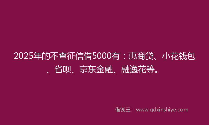 2025年的不查征信借5000有：惠商贷、小花钱包、省呗、京东金融、融逸花等。