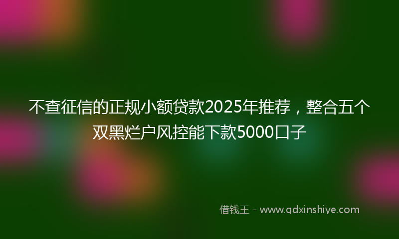 不查征信的正规小额贷款2025年推荐，整合五个双黑烂户风控能下款5000口子