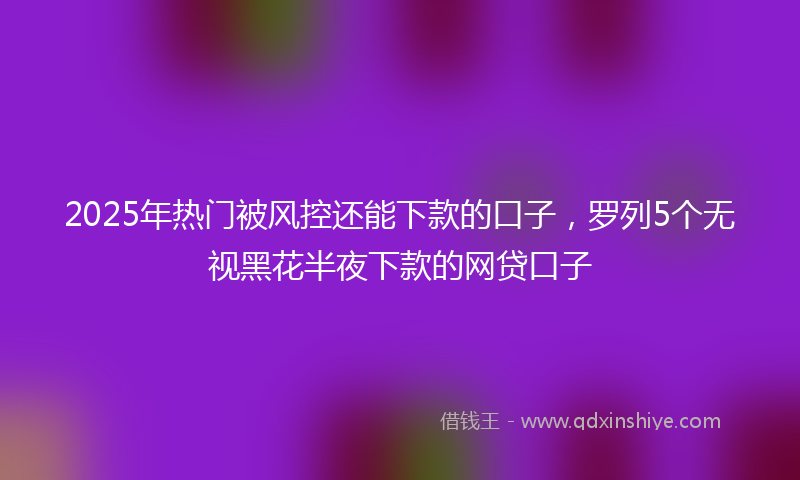 2025年热门被风控还能下款的口子，罗列5个无视黑花半夜下款的网贷口子