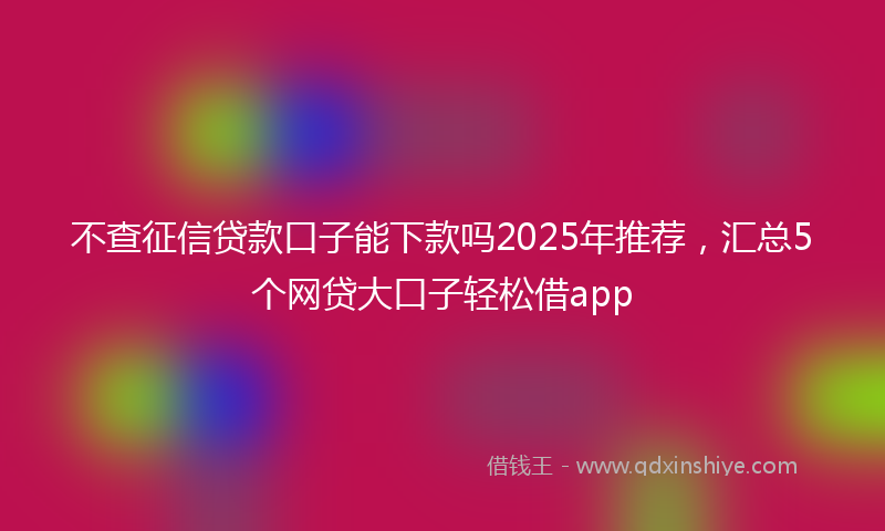 不查征信贷款口子能下款吗2025年推荐，汇总5个网贷大口子轻松借app