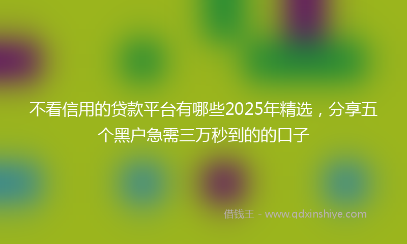 不看信用的贷款平台有哪些2025年精选，分享五个黑户急需三万秒到的的口子