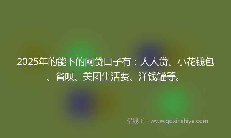 2025年的能下的网贷口子有：人人贷、小花钱包、省呗、美团生活费、洋钱罐等。