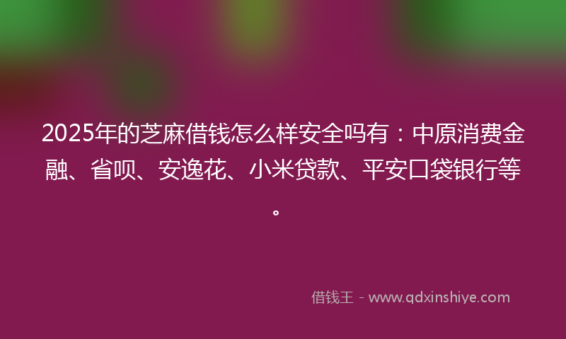 2025年的芝麻借钱怎么样安全吗有：中原消费金融、省呗、安逸花、小米贷款、平安口袋银行等。