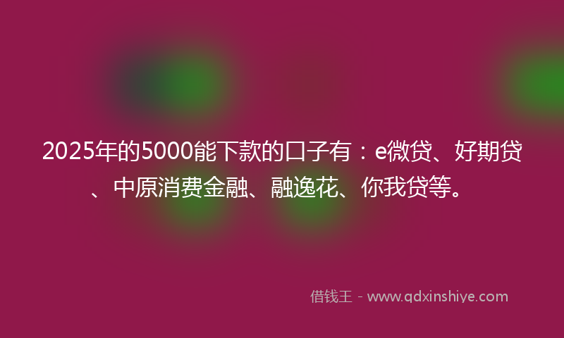 2025年的5000能下款的口子有：e微贷、好期贷、中原消费金融、融逸花、你我贷等。