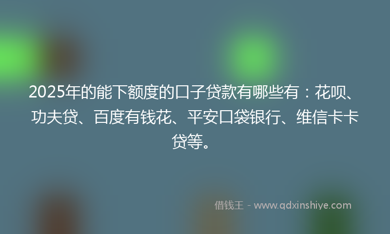 2025年的能下额度的口子贷款有哪些有：花呗、功夫贷、百度有钱花、平安口袋银行、维信卡卡贷等。