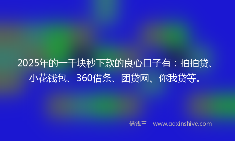 2025年的一千块秒下款的良心口子有：拍拍贷、小花钱包、360借条、团贷网、你我贷等。