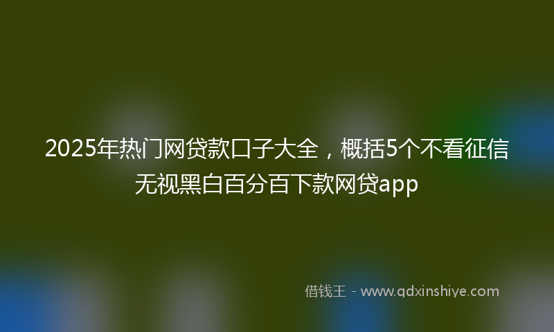 2025年热门网贷款口子大全，概括5个不看征信无视黑白百分百下款网贷app