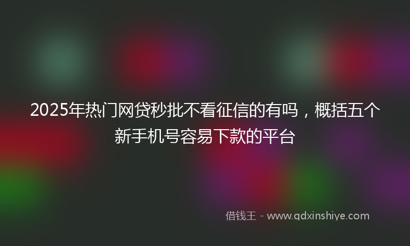 2025年热门网贷秒批不看征信的有吗，概括五个新手机号容易下款的平台