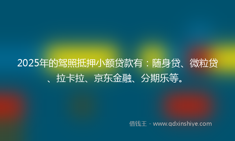 2025年的驾照抵押小额贷款有：随身贷、微粒贷、拉卡拉、京东金融、分期乐等。