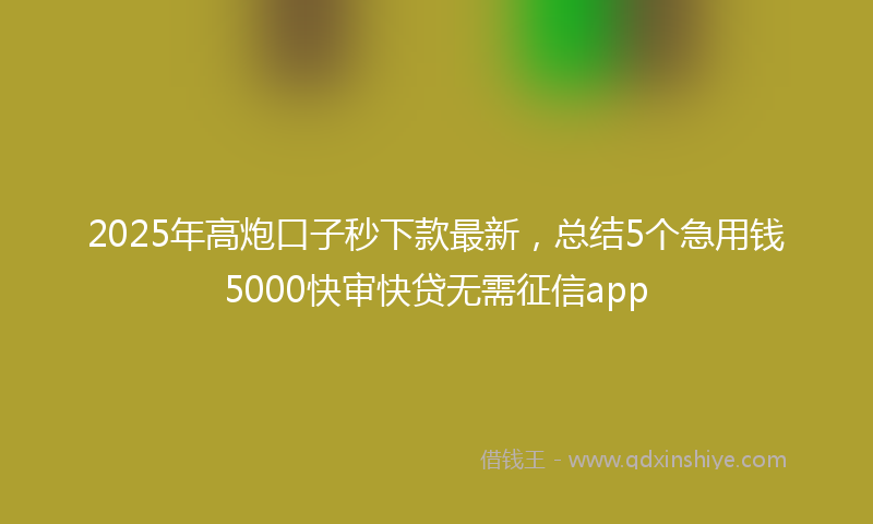 2025年高炮口子秒下款最新，总结5个急用钱5000快审快贷无需征信app