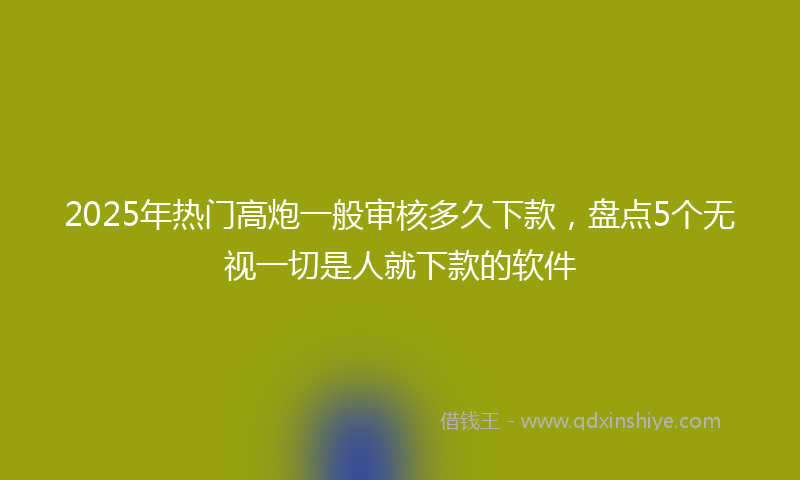2025年热门高炮一般审核多久下款，盘点5个无视一切是人就下款的软件
