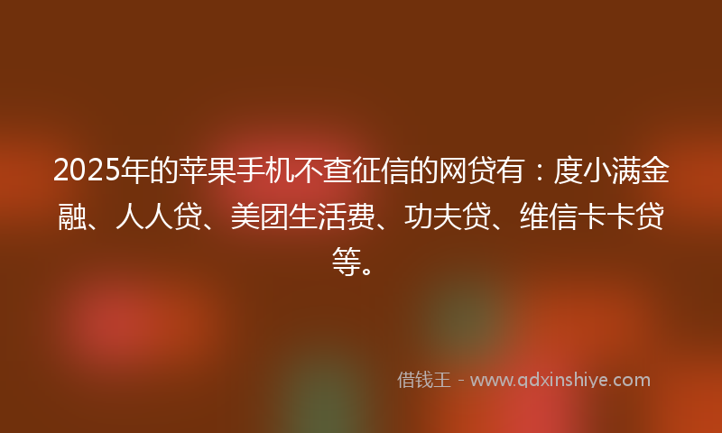 2025年的苹果手机不查征信的网贷有:度小满金融、人人贷、美团生活费、功夫贷、维信卡卡贷等。