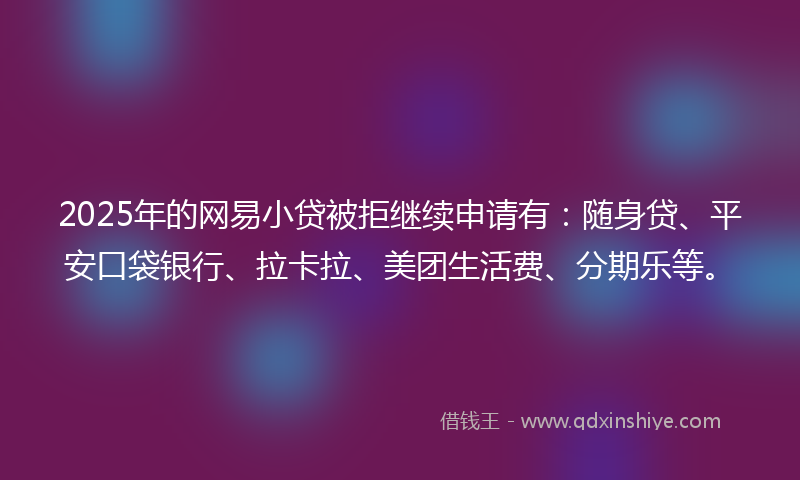 2025年的网易小贷被拒继续申请有:随身贷、平安口袋银行、拉卡拉、美团生活费、分期乐等。