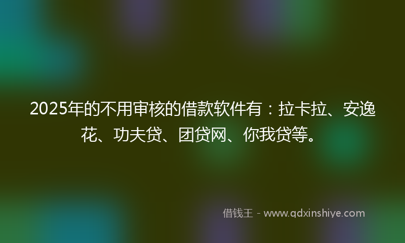 2025年的不用审核的借款软件有：拉卡拉、安逸花、功夫贷、团贷网、你我贷等。