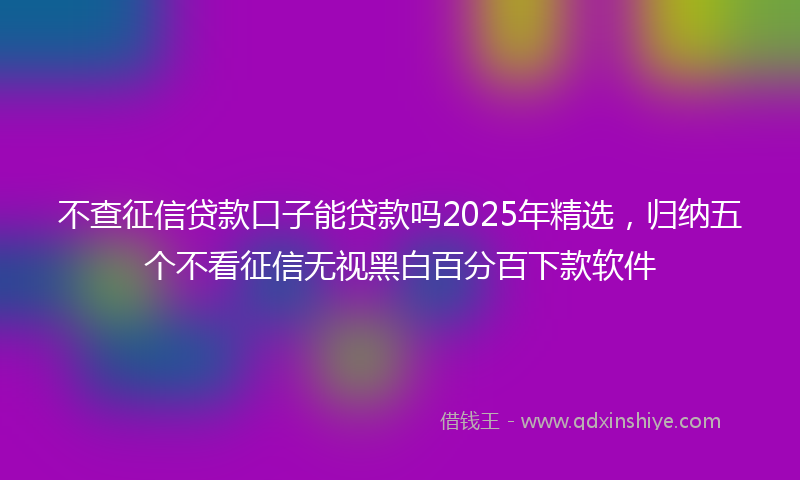 不查征信贷款口子能贷款吗2025年精选，归纳五个不看征信无视黑白百分百下款软件