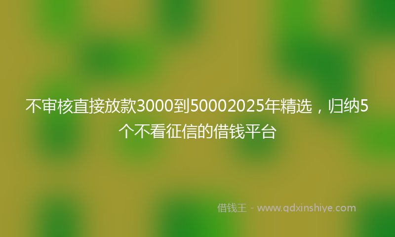 不审核直接放款3000到50002025年精选，归纳5个不看征信的借钱平台