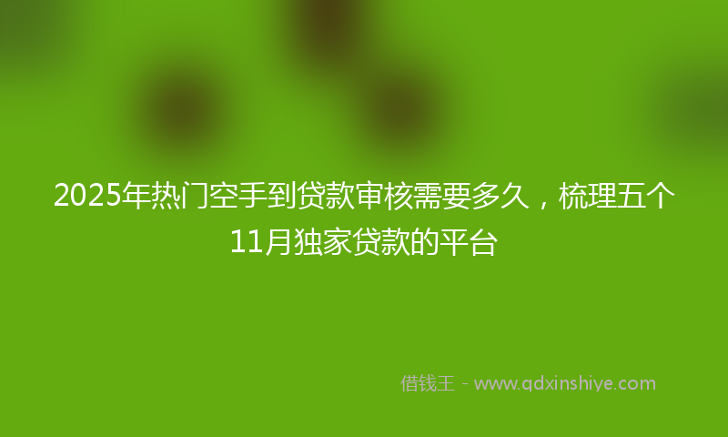 2025年热门空手到贷款审核需要多久，梳理五个11月独家贷款的平台